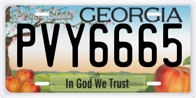 GA license plate PVY6665