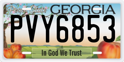 GA license plate PVY6853