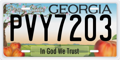 GA license plate PVY7203