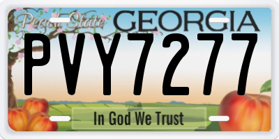 GA license plate PVY7277