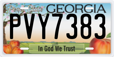 GA license plate PVY7383
