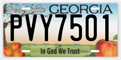 GA license plate PVY7501