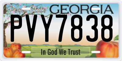 GA license plate PVY7838