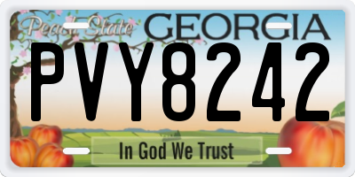 GA license plate PVY8242