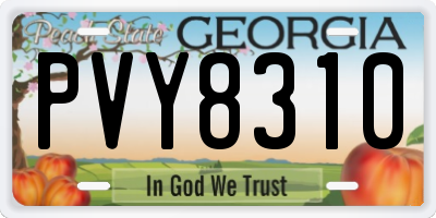 GA license plate PVY8310