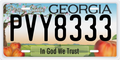 GA license plate PVY8333