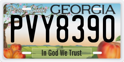 GA license plate PVY8390