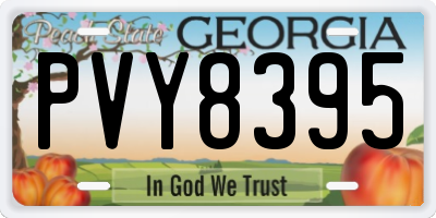 GA license plate PVY8395