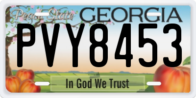 GA license plate PVY8453