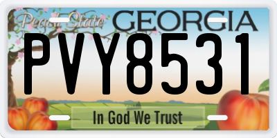 GA license plate PVY8531