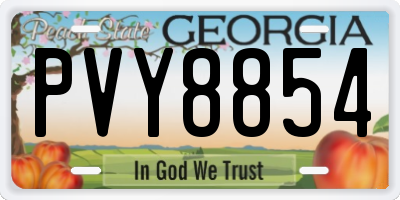 GA license plate PVY8854