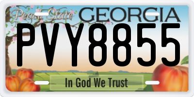 GA license plate PVY8855