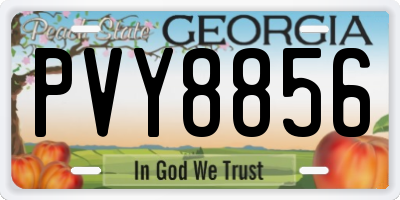 GA license plate PVY8856