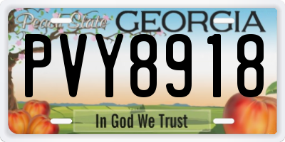 GA license plate PVY8918