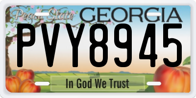 GA license plate PVY8945