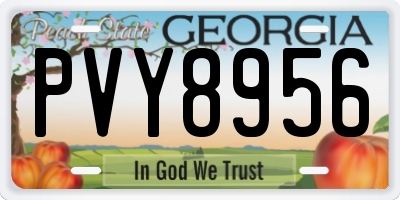 GA license plate PVY8956