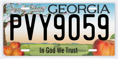 GA license plate PVY9059