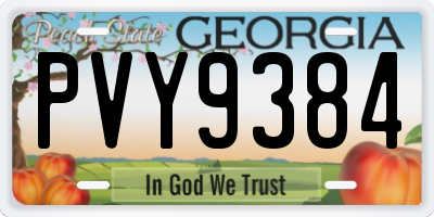 GA license plate PVY9384