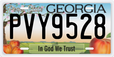 GA license plate PVY9528