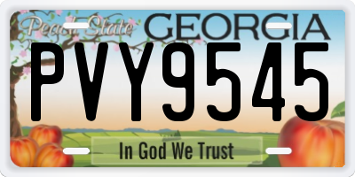 GA license plate PVY9545