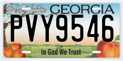 GA license plate PVY9546