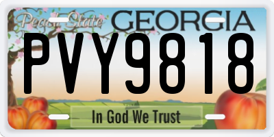 GA license plate PVY9818