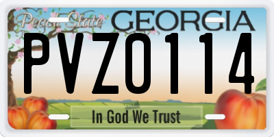 GA license plate PVZ0114