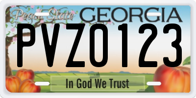 GA license plate PVZ0123