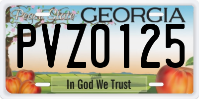 GA license plate PVZ0125