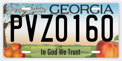 GA license plate PVZ0160