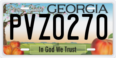 GA license plate PVZ0270