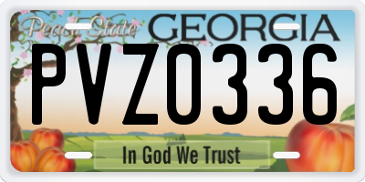 GA license plate PVZ0336