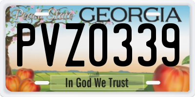 GA license plate PVZ0339