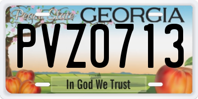 GA license plate PVZ0713