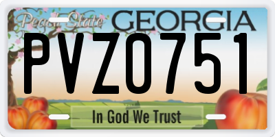 GA license plate PVZ0751