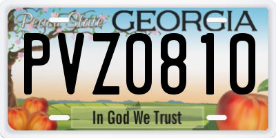 GA license plate PVZ0810