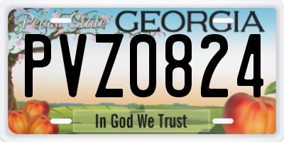 GA license plate PVZ0824