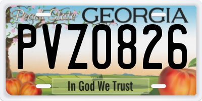 GA license plate PVZ0826