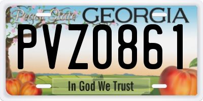 GA license plate PVZ0861