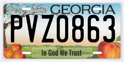 GA license plate PVZ0863