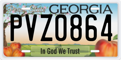 GA license plate PVZ0864