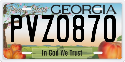 GA license plate PVZ0870