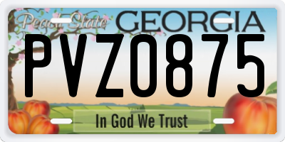 GA license plate PVZ0875