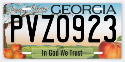 GA license plate PVZ0923