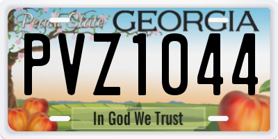 GA license plate PVZ1044