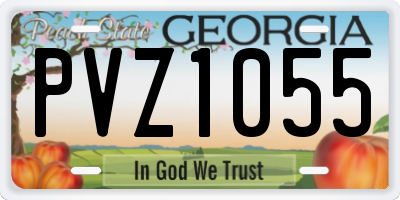 GA license plate PVZ1055
