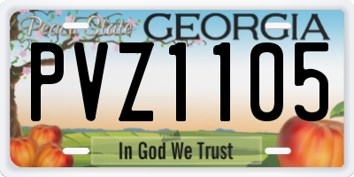 GA license plate PVZ1105