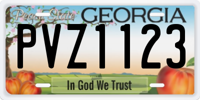 GA license plate PVZ1123