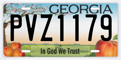 GA license plate PVZ1179