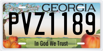 GA license plate PVZ1189